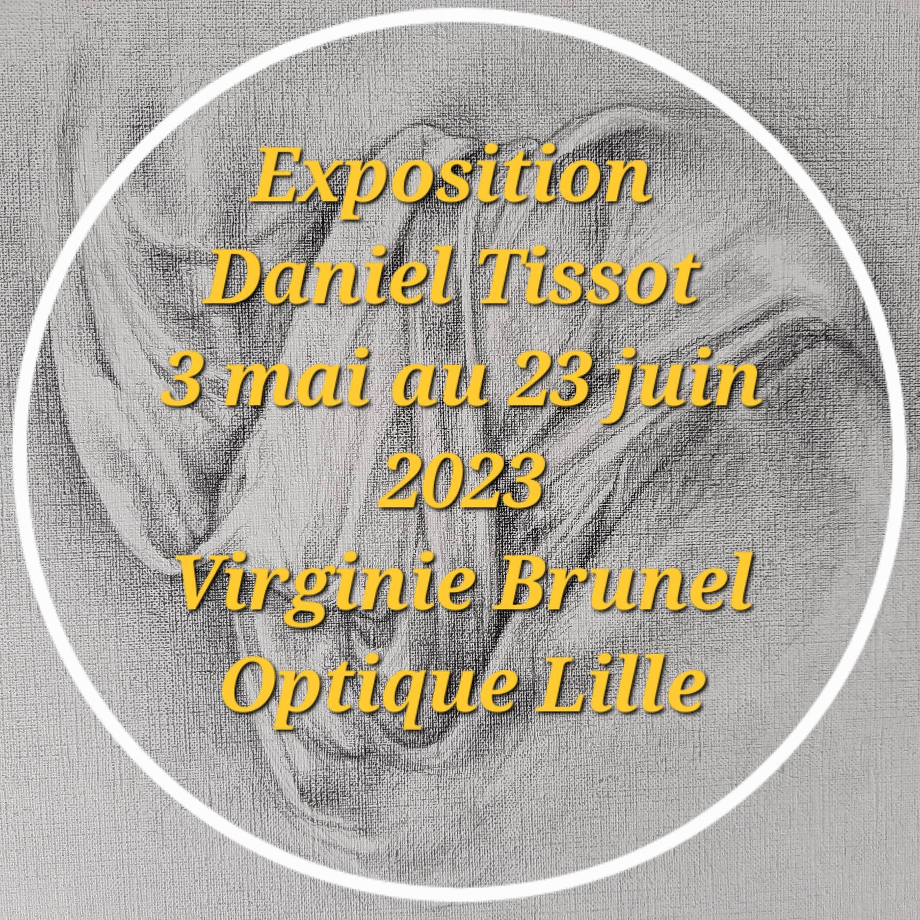 Daniel Tissot Virginie Brunel Optique Lille Art en Nord